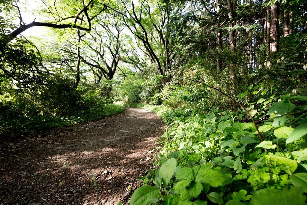 The Canvas Hayama Park المظهر الخارجي الصورة